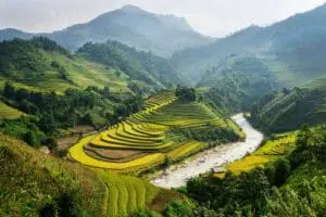 Terraced rice fields with river and mountains.